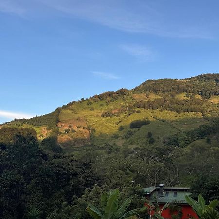 El Toucanet Lodge Copey Extérieur photo