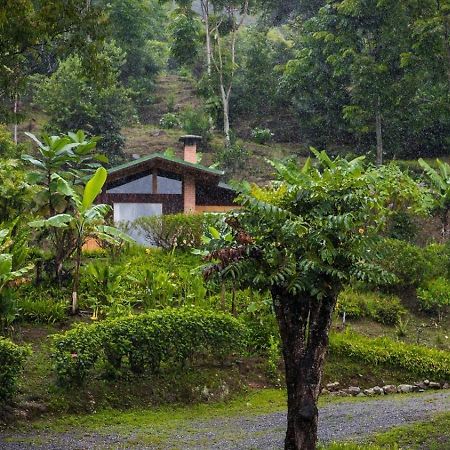 El Toucanet Lodge Copey Extérieur photo