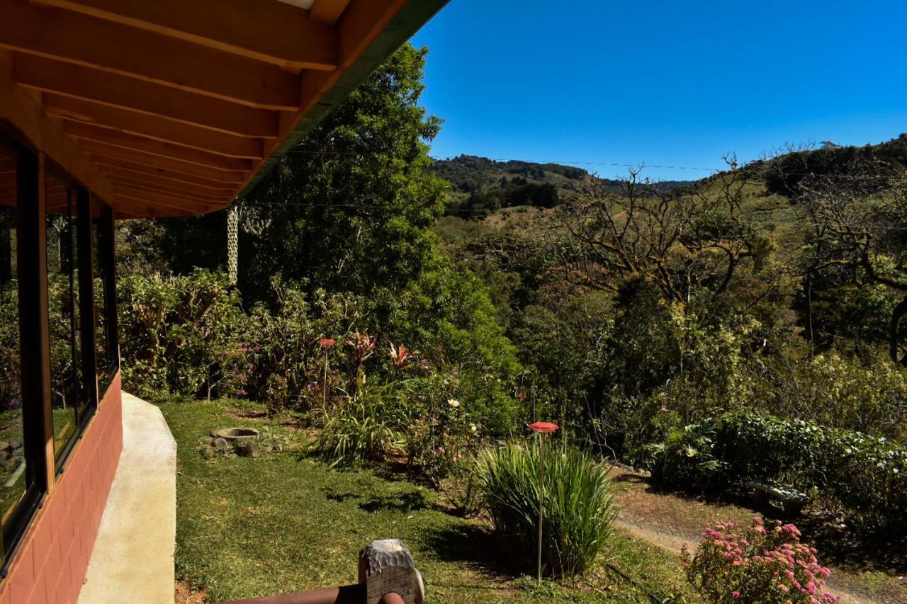 El Toucanet Lodge Copey Extérieur photo