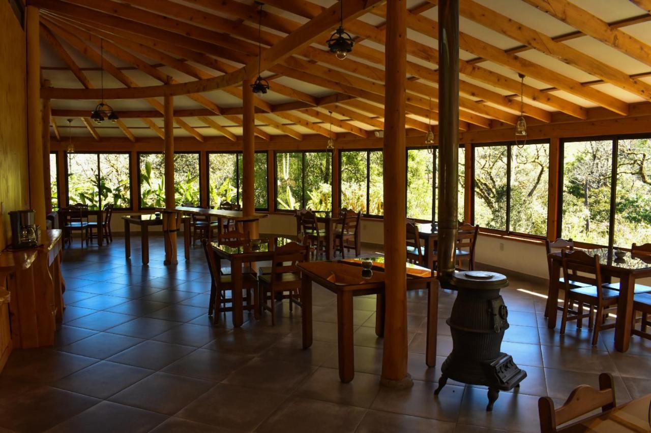 El Toucanet Lodge Copey Extérieur photo