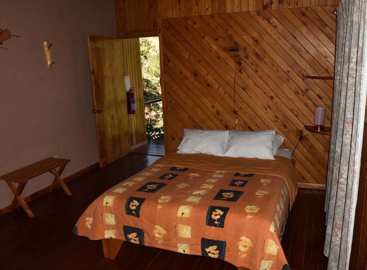 El Toucanet Lodge Copey Extérieur photo