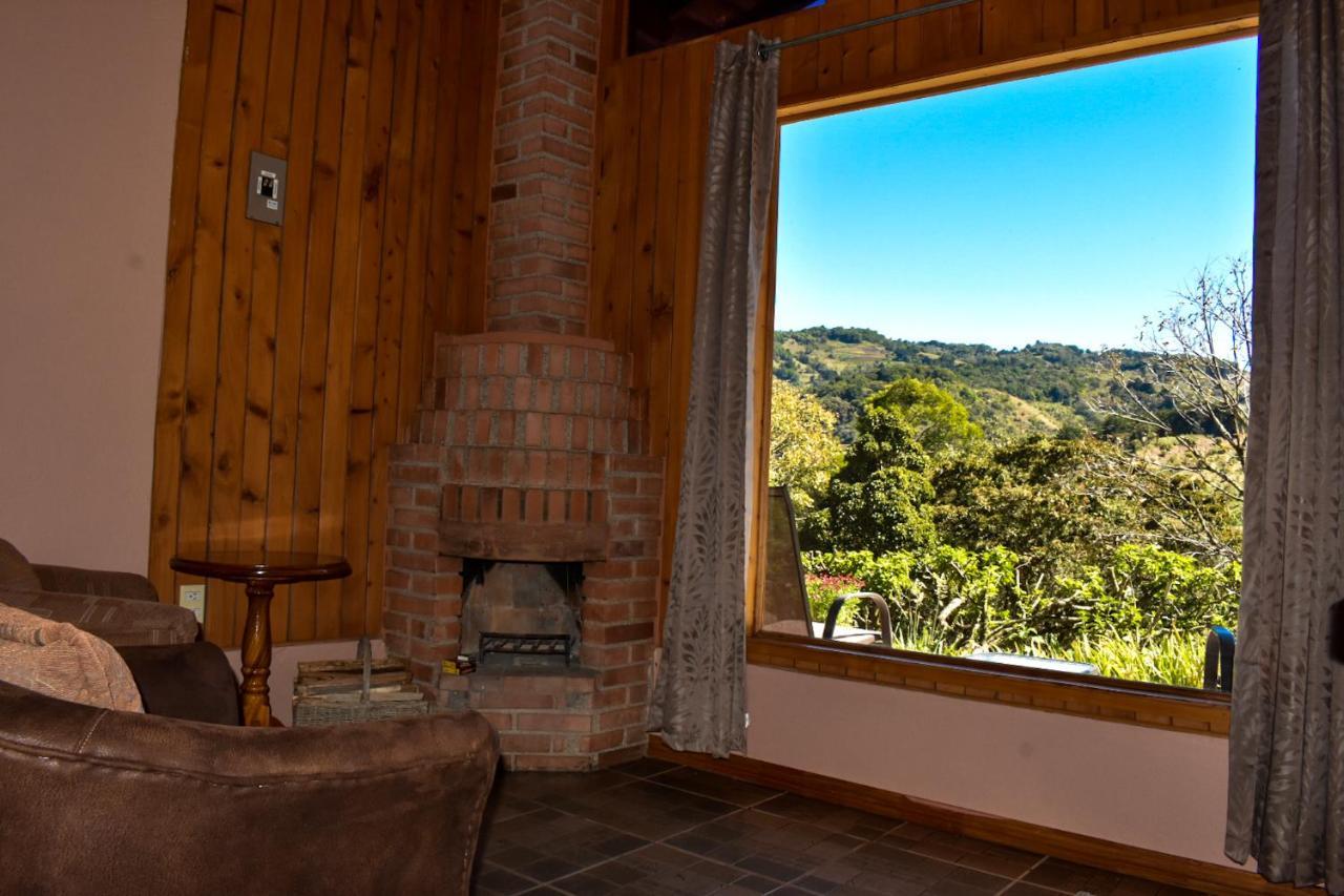 El Toucanet Lodge Copey Extérieur photo