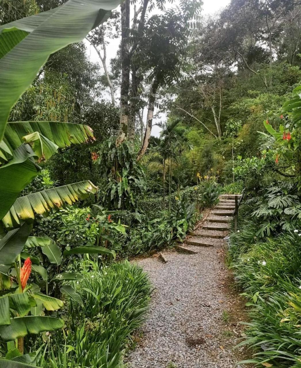 El Toucanet Lodge Copey Extérieur photo