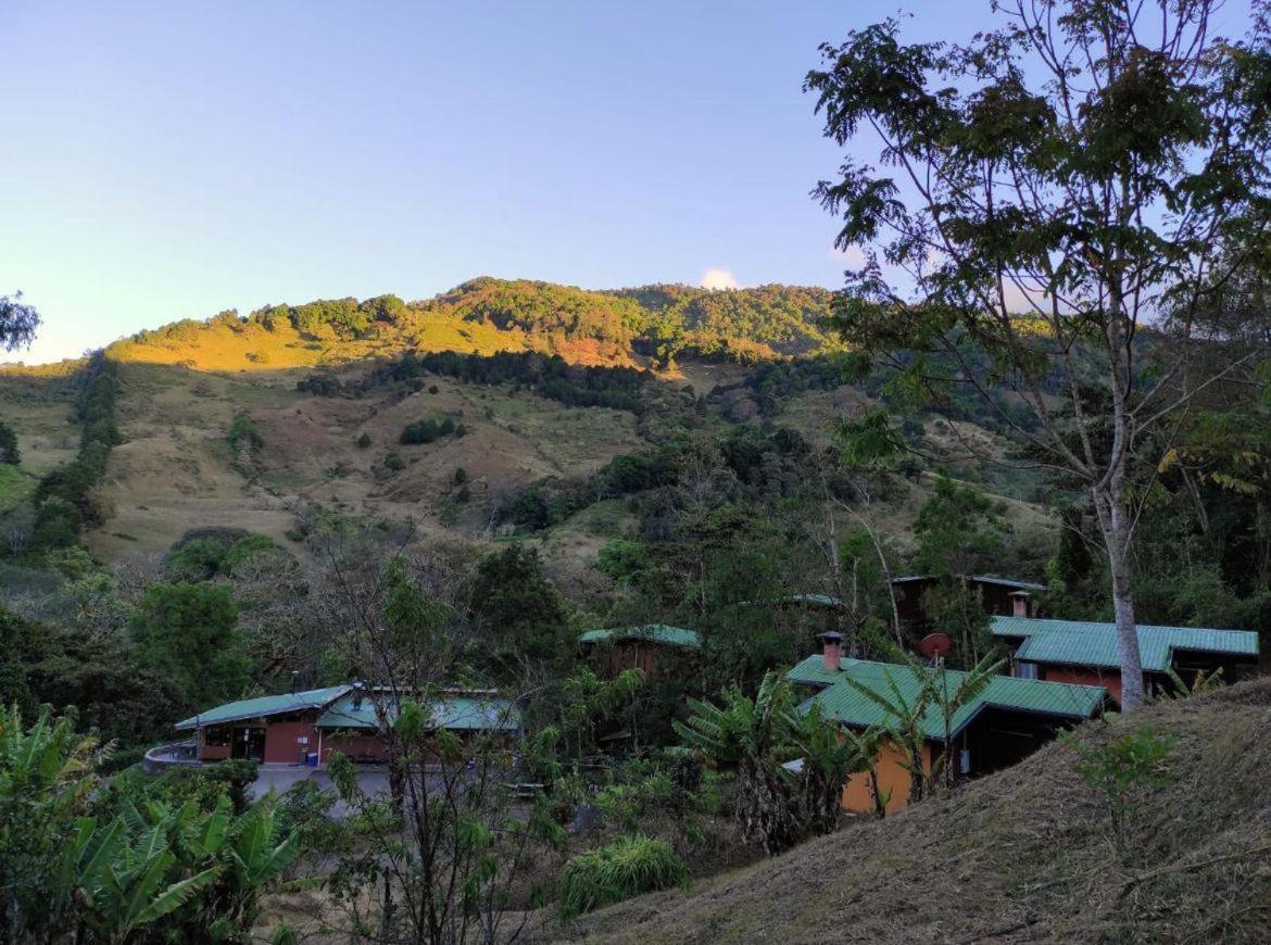 El Toucanet Lodge Copey Extérieur photo