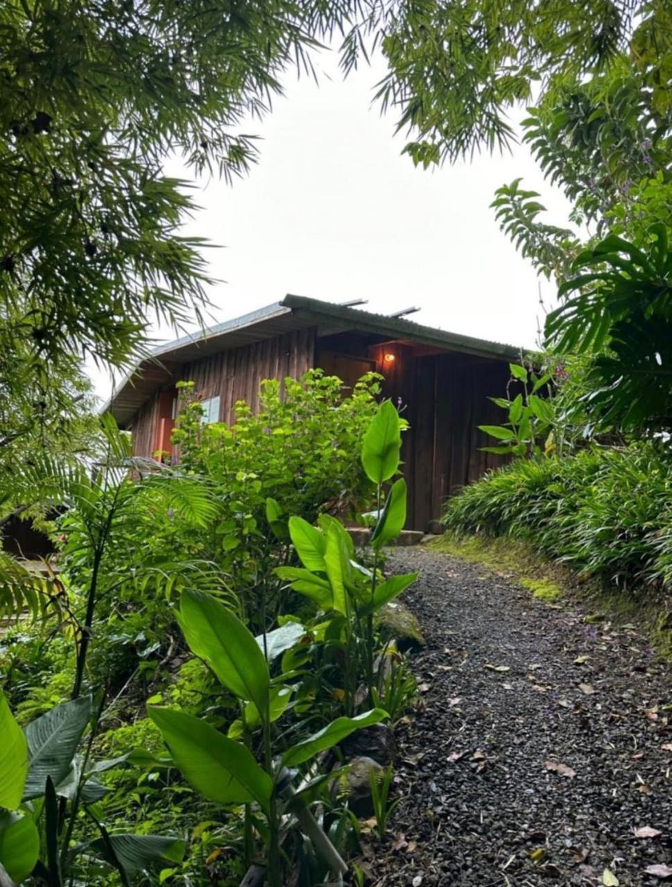 El Toucanet Lodge Copey Extérieur photo