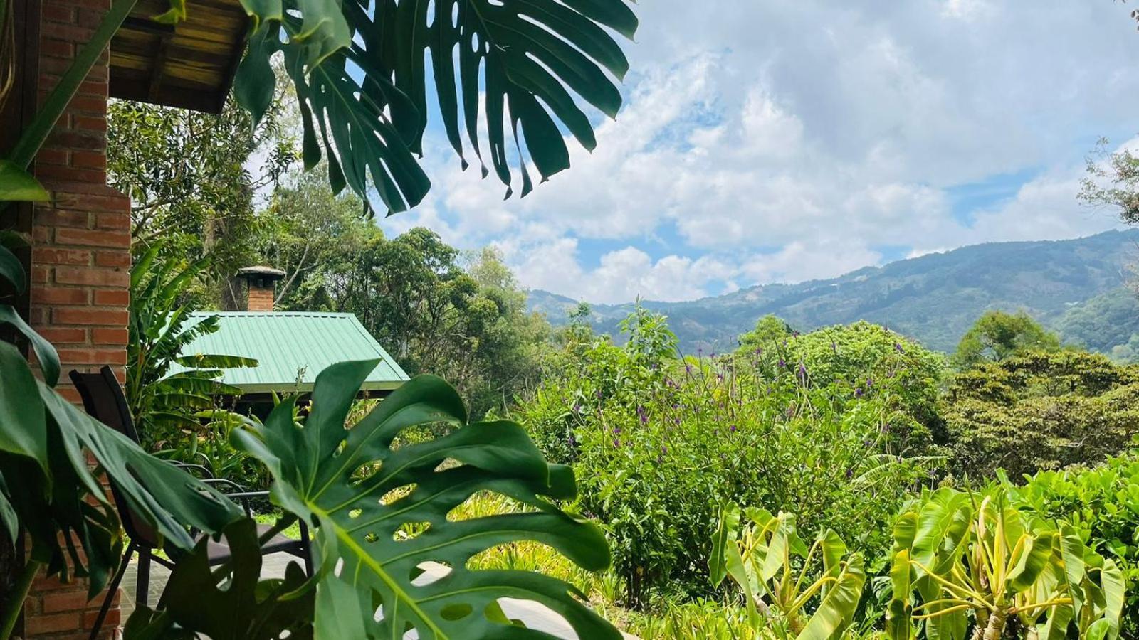 El Toucanet Lodge Copey Extérieur photo