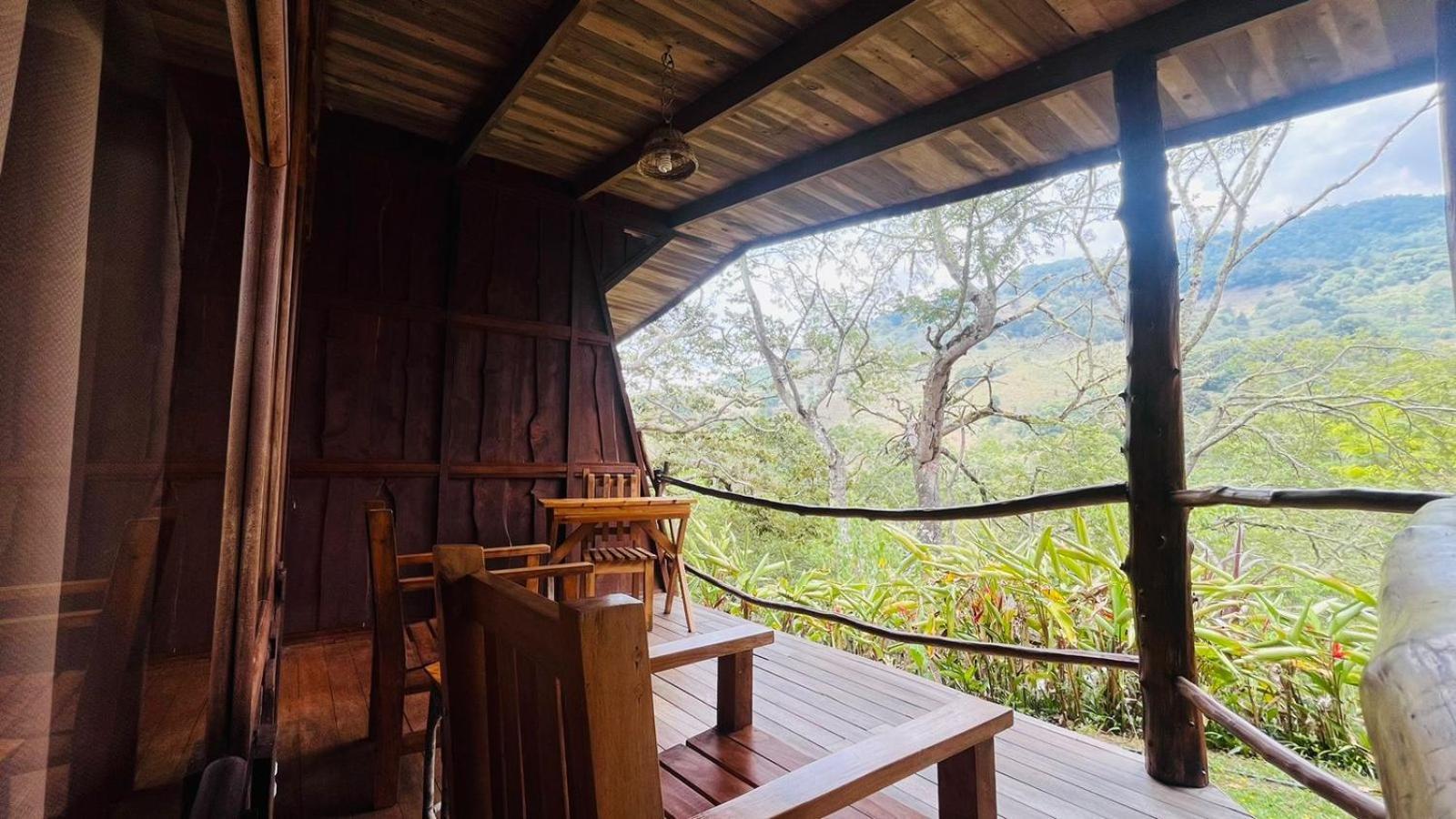 El Toucanet Lodge Copey Extérieur photo