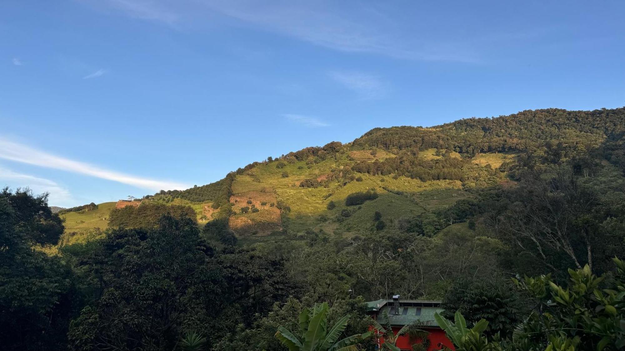 El Toucanet Lodge Copey Extérieur photo