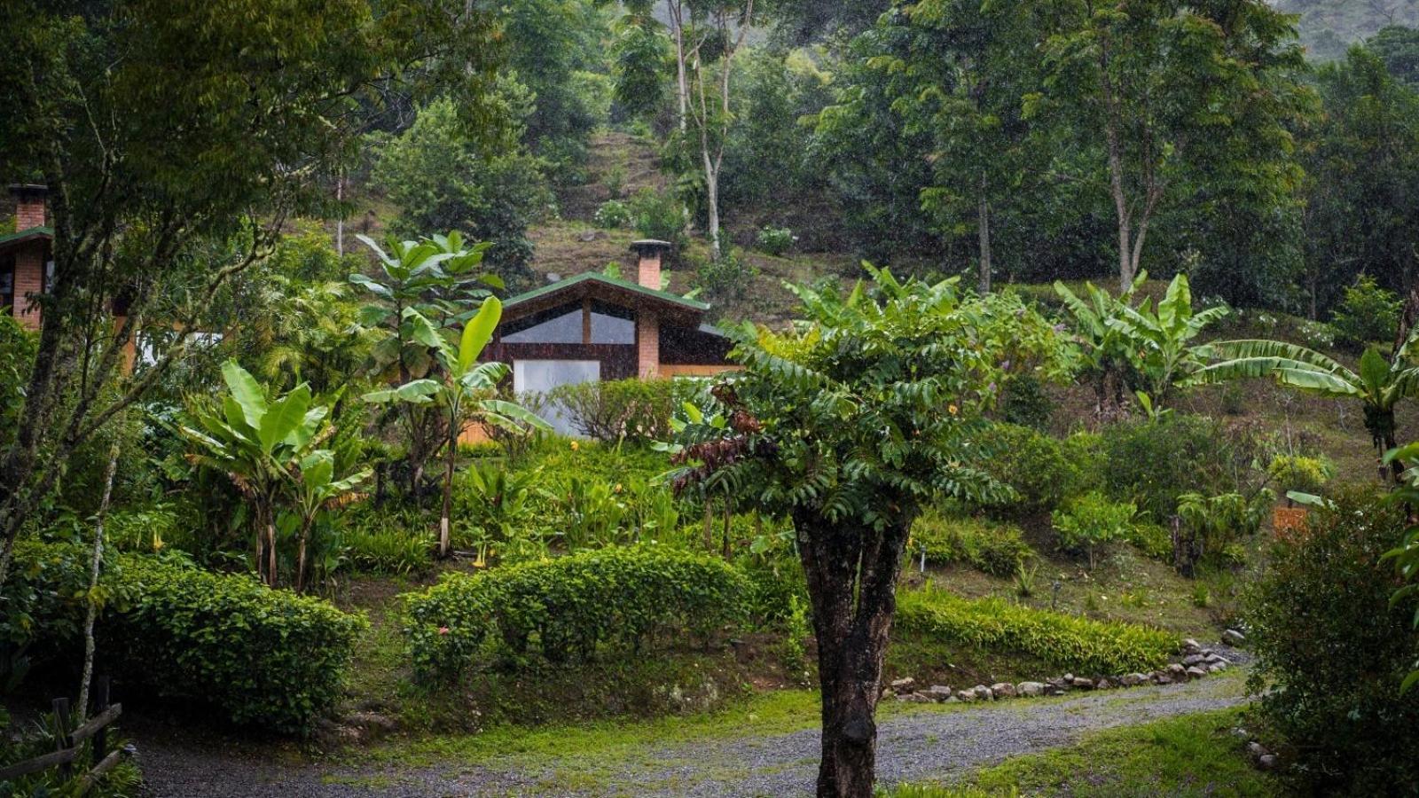 El Toucanet Lodge Copey Extérieur photo