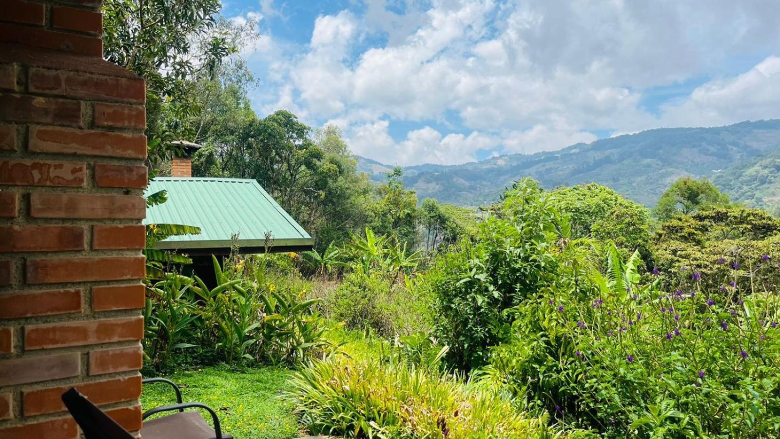 El Toucanet Lodge Copey Extérieur photo